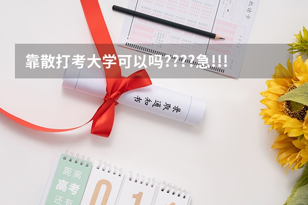 靠散打考大学可以吗????急!!!!!!!!