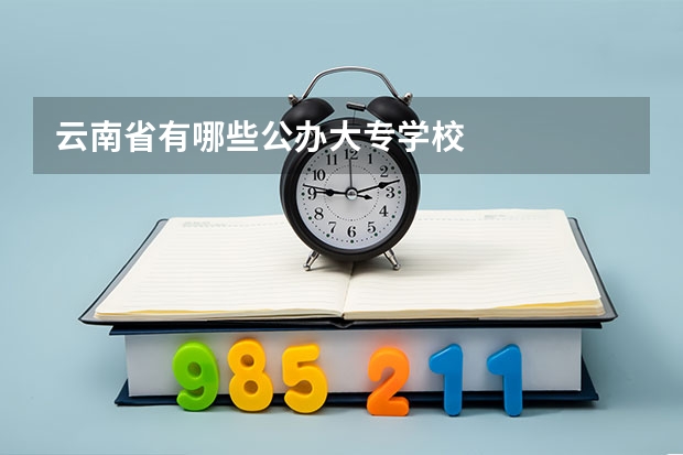 云南省有哪些公办大专学校