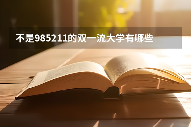 不是985211的双一流大学有哪些