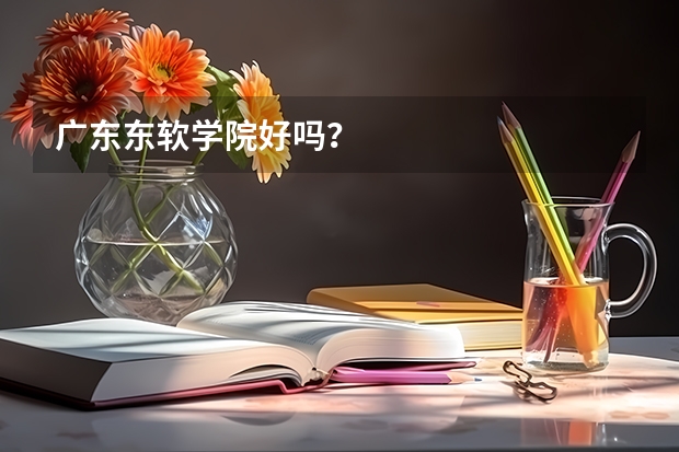 广东东软学院好吗？