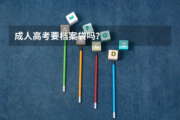 成人高考要档案袋吗?