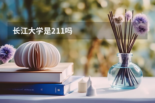 长江大学是211吗