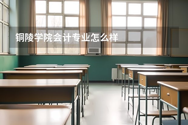 铜陵学院会计专业怎么样