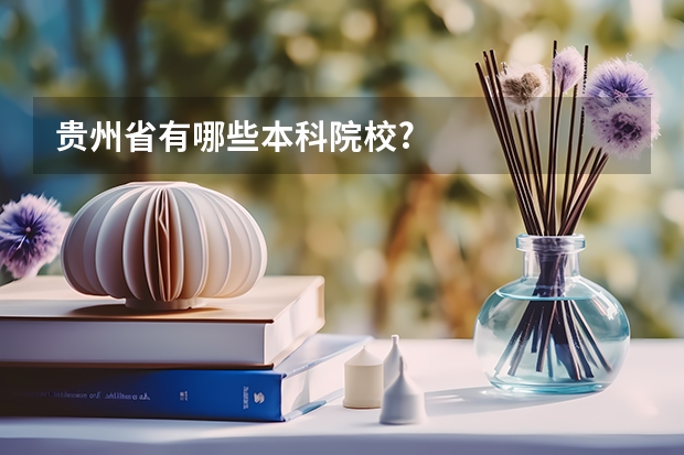贵州省有哪些本科院校?