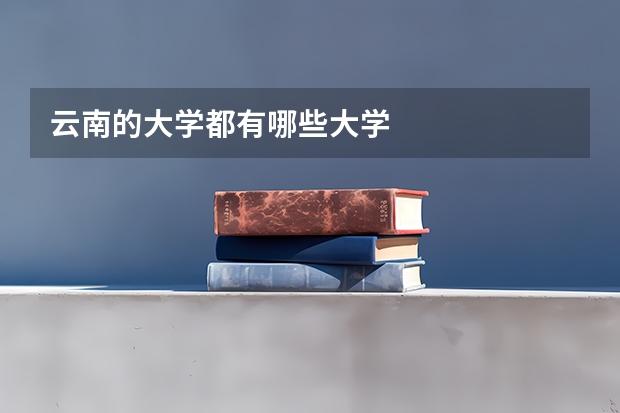 云南的大学都有哪些大学