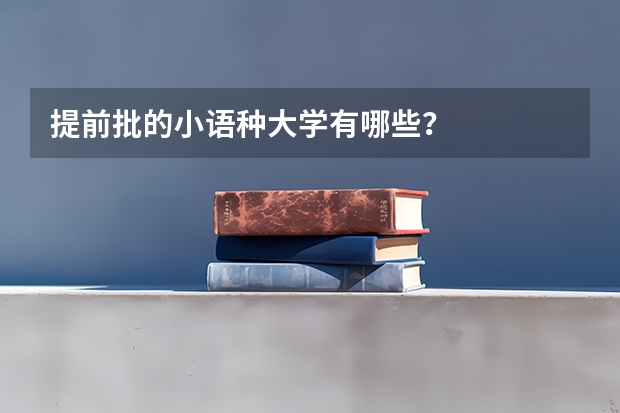 提前批的小语种大学有哪些？