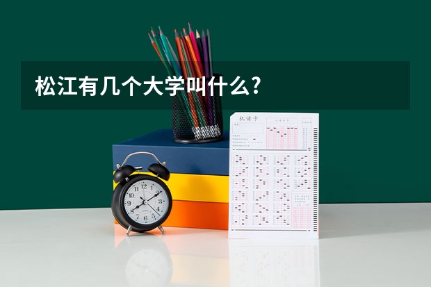 松江有几个大学叫什么?