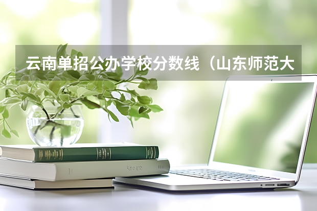 云南单招公办学校分数线（山东师范大学单招录取分数线）