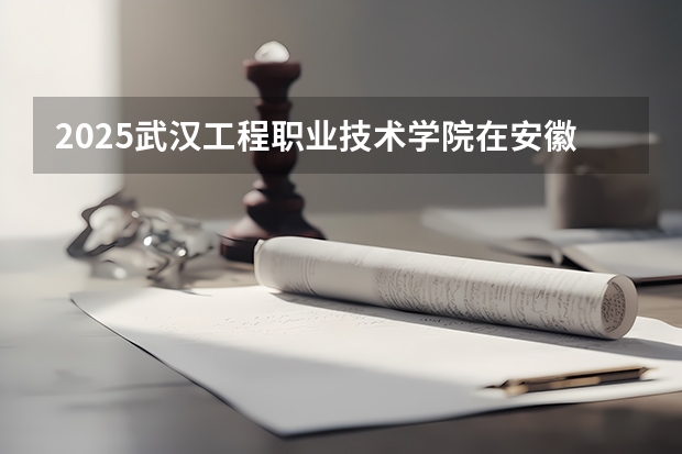 2025武汉工程职业技术学院在安徽招生情况