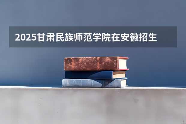 2025甘肃民族师范学院在安徽招生情况
