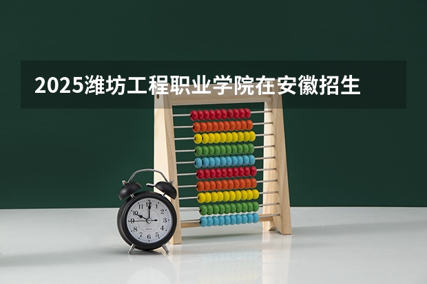 2025潍坊工程职业学院在安徽招生情况