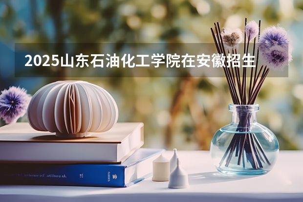 2025山东石油化工学院在安徽招生情况
