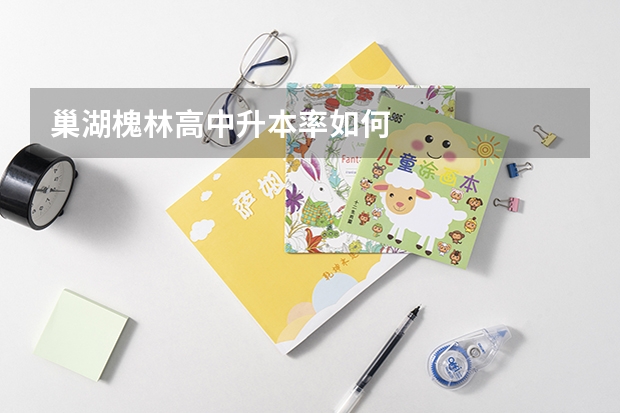 巢湖槐林高中升本率如何