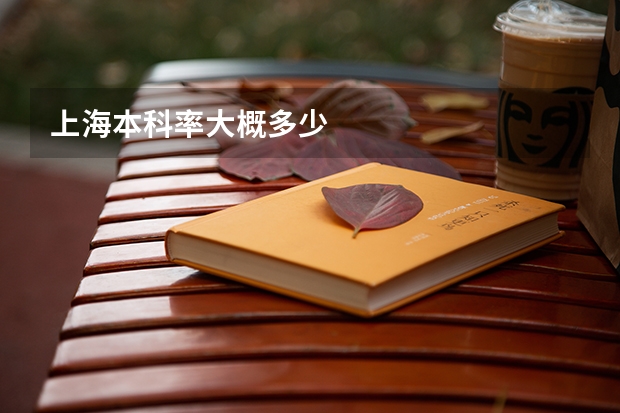 上海本科率大概多少