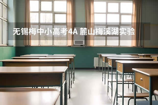 无锡梅中小高考4A 麓山梅溪湖实验中学高考成绩