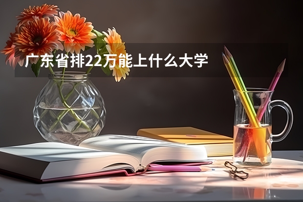 广东省排22万能上什么大学