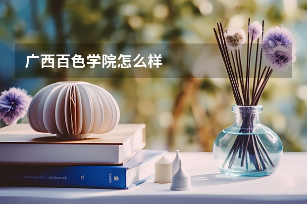 广西百色学院怎么样