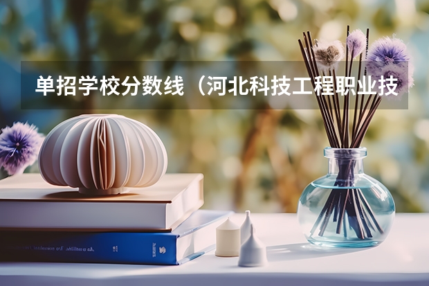 单招学校分数线（河北科技工程职业技术大学单招分数）