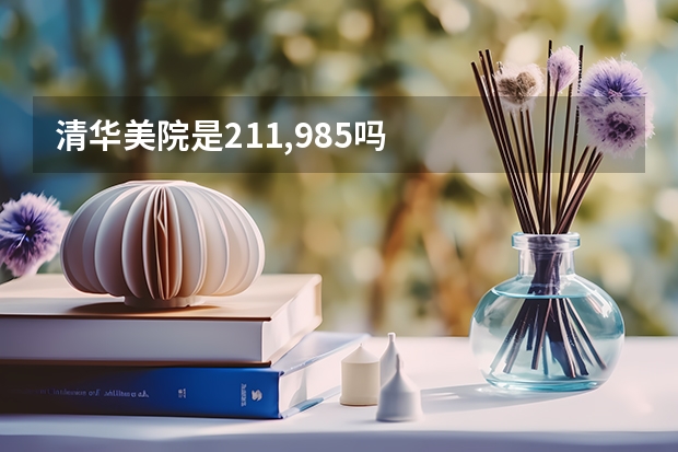 清华美院是211,985吗