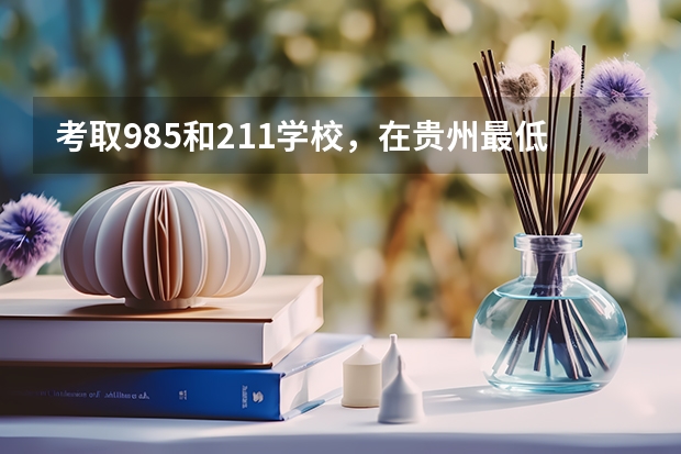 考取985和211学校，在贵州最低分数参考