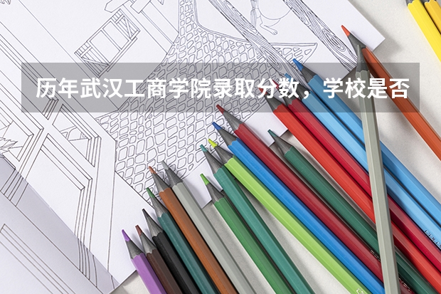 历年武汉工商学院录取分数，学校是否是985或211学校