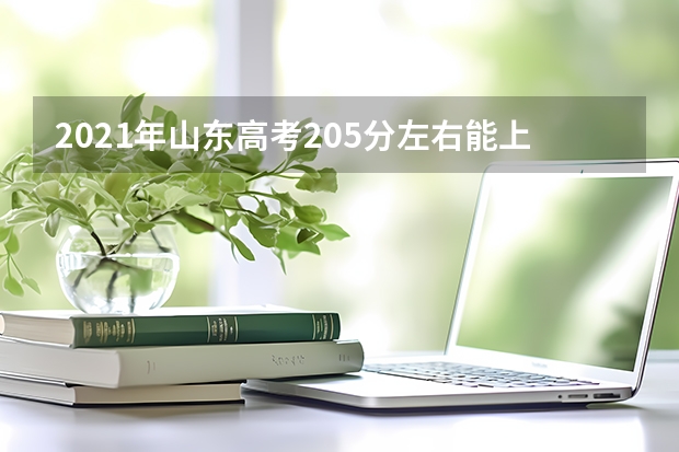 2021年山东高考205分左右能上什么样的大学