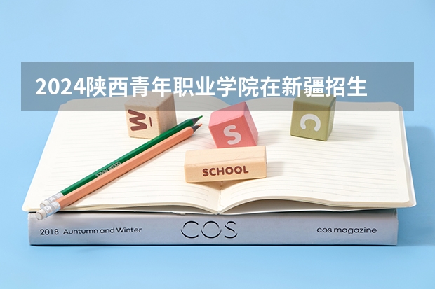 2024陕西青年职业学院在新疆招生计划情况如何