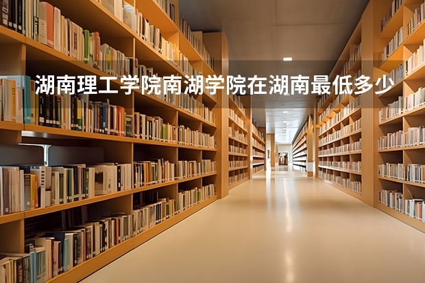 湖南理工学院南湖学院在湖南最低多少分录取