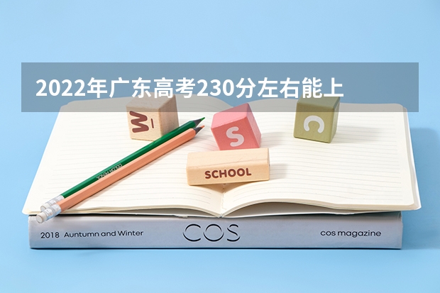 2022年广东高考230分左右能上什么样的大学