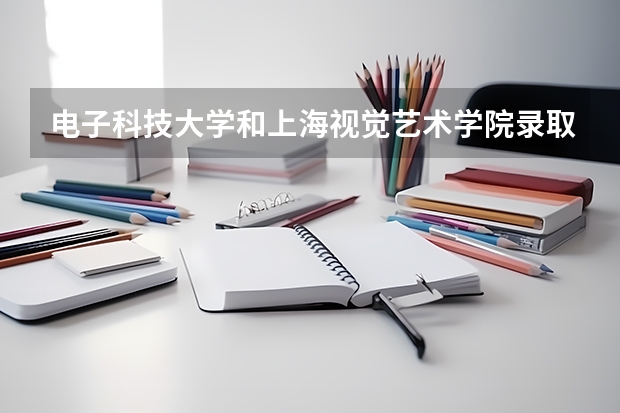 电子科技大学和上海视觉艺术学院录取分数参考