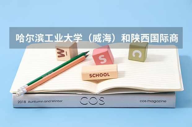 哈尔滨工业大学（威海）和陕西国际商贸学院录取分数参考