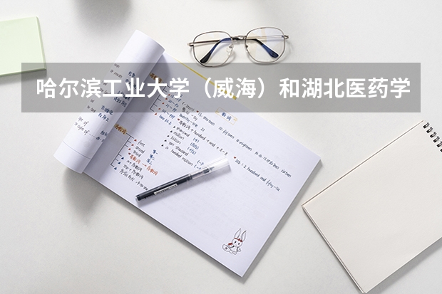 哈尔滨工业大学（威海）和湖北医药学院药护学院录取分数参考