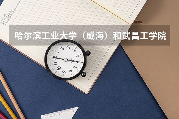 哈尔滨工业大学（威海）和武昌工学院录取分数参考