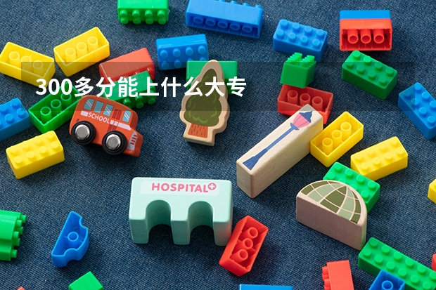 300多分能上什么大专