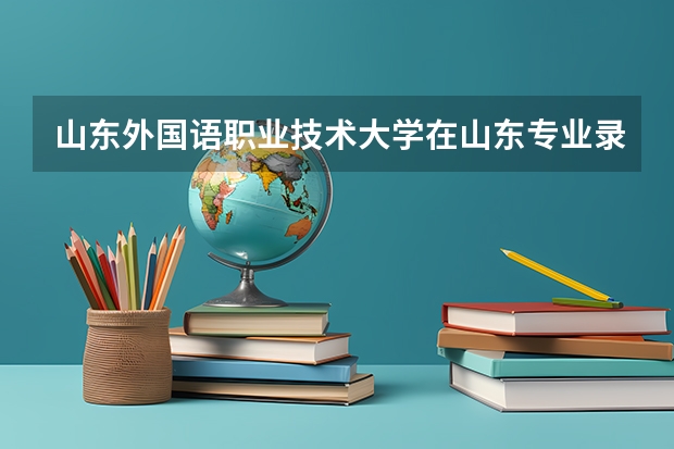 山东外国语职业技术大学在山东专业录取分数情况