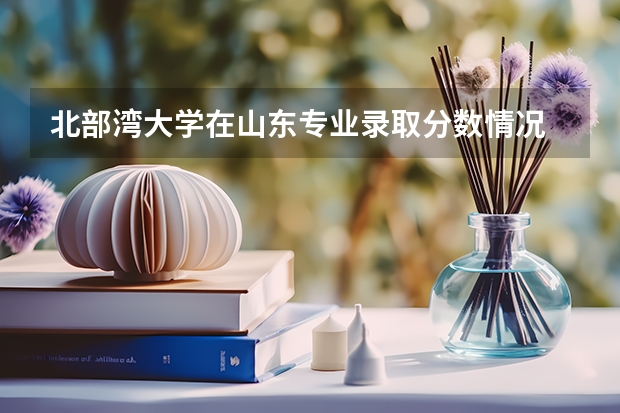 北部湾大学在山东专业录取分数情况