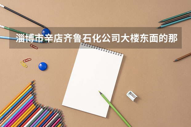 淄博市辛店齐鲁石化公司大楼东面的那个职业学院叫什么名字,什么性质的学校?