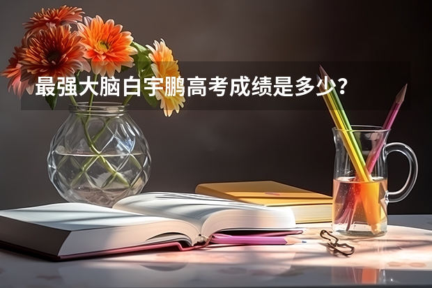 最强大脑白宇鹏高考成绩是多少?