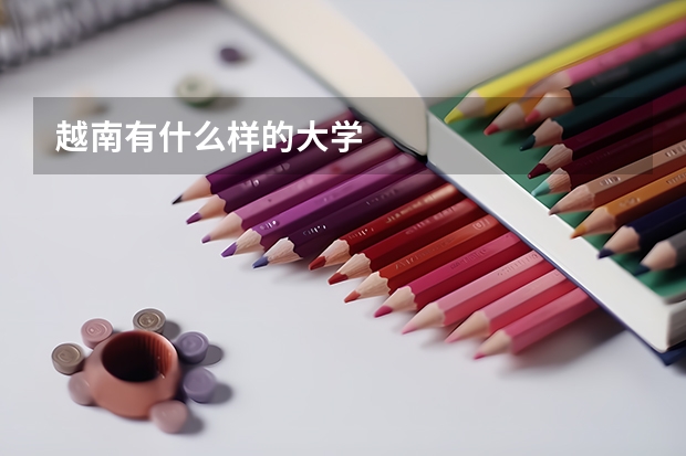 越南有什么样的大学