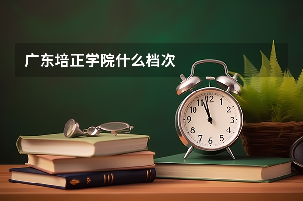 广东培正学院什么档次