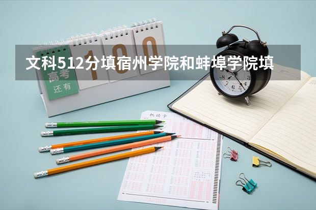 文科512分填宿州学院和蚌埠学院填哪个更适合?