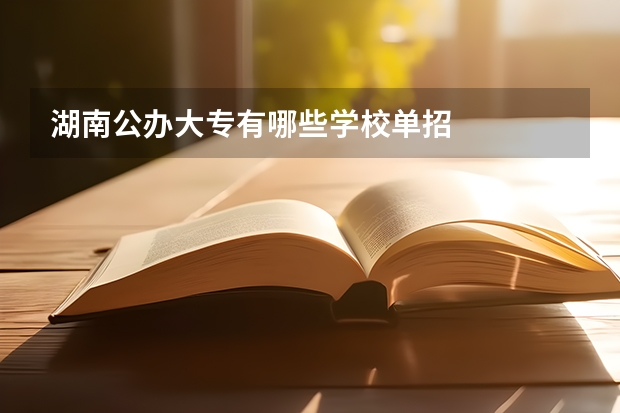 湖南公办大专有哪些学校单招