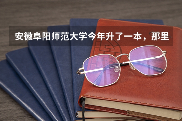安徽阜阳师范大学今年升了一本,那里面的二本专业还能报吗