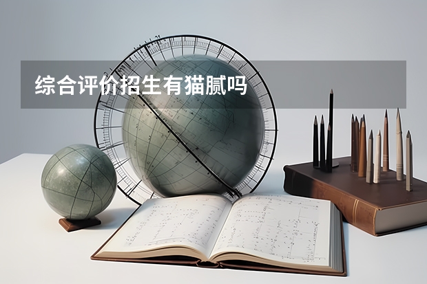综合评价招生有猫腻吗