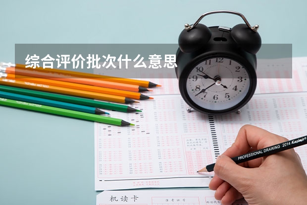 综合评价批次什么意思