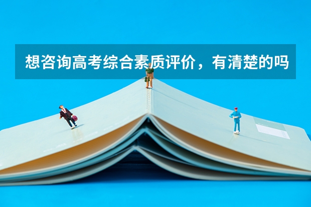 想咨询高考综合素质评价,有清楚的吗