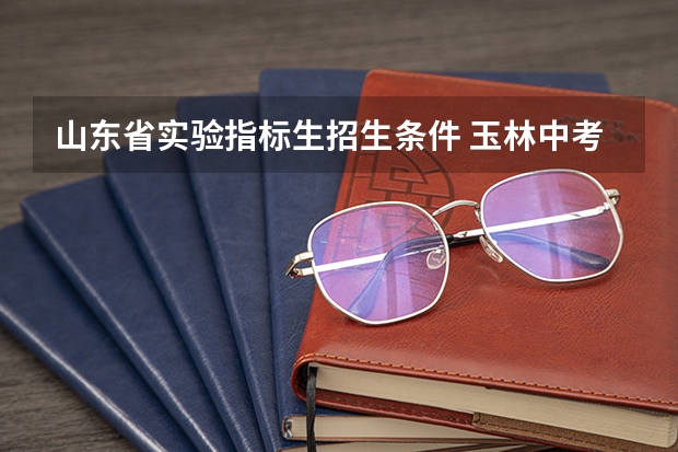 山东省实验指标生招生条件 玉林中考综合素质评价标准