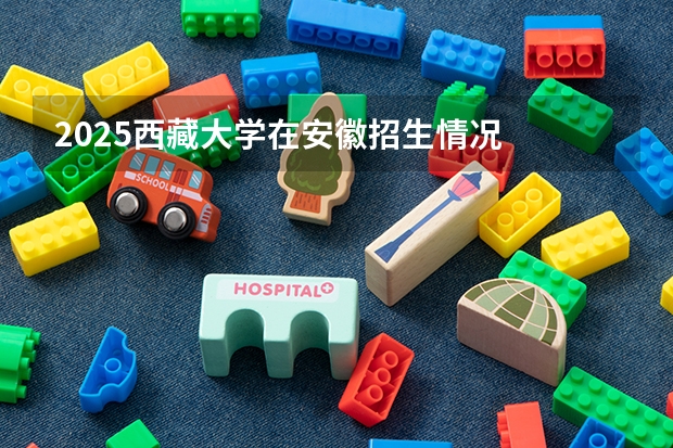 2025西藏大学在安徽招生情况
