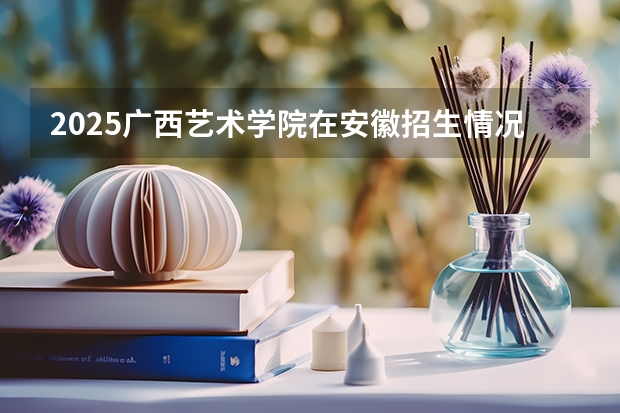 2025广西艺术学院在安徽招生情况