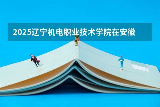 2025辽宁机电职业技术学院在安徽招生情况